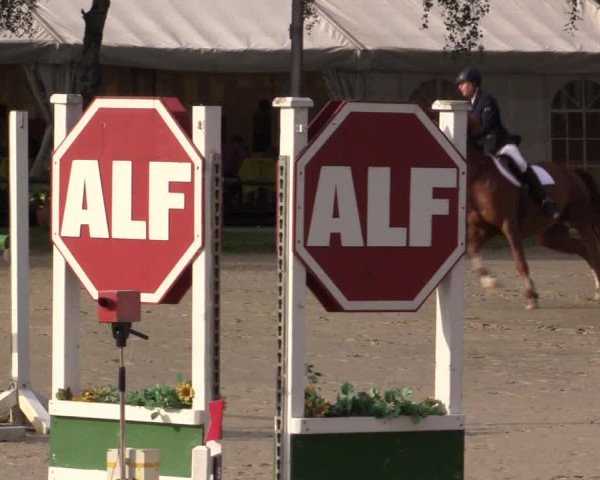 Reitturnier Herbern 2015