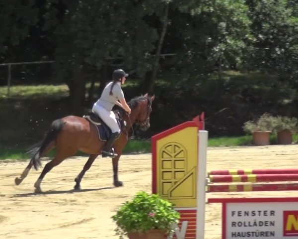 Reitturnier Viersen-Dülken 2015