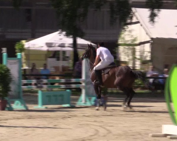Reitturnier Herbern 2015