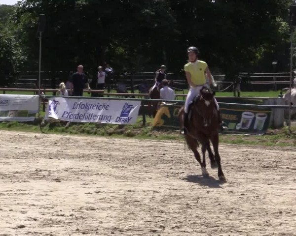 Reitturnier Herbern 2015