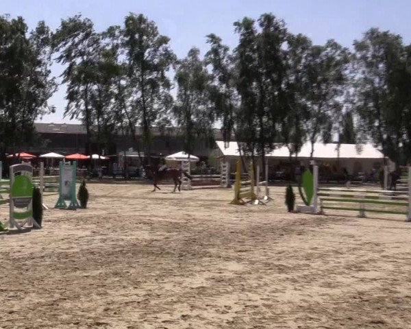 Reitturnier Herbern 2015