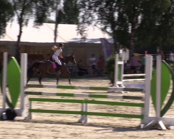 Reitturnier Herbern 2015