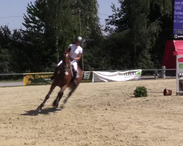 Reitturnier Herbern 2015