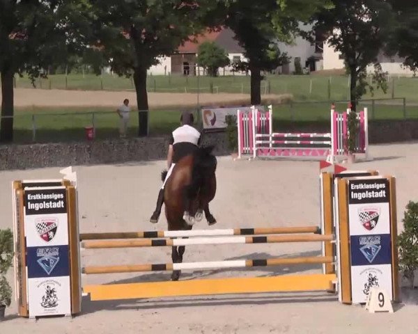 Reitturnier Ingolstadt-Hagau 2015