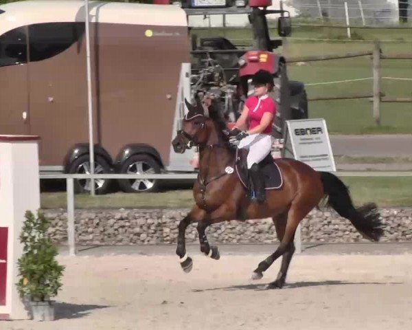 Reitturnier Ingolstadt-Hagau 2015
