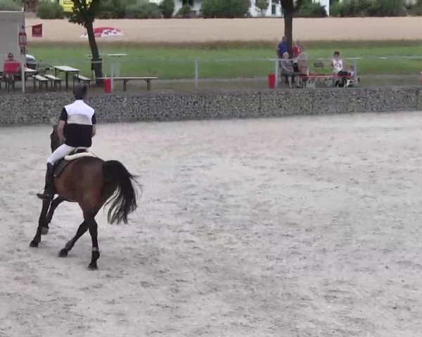 Reitturnier Ingolstadt-Hagau 2015