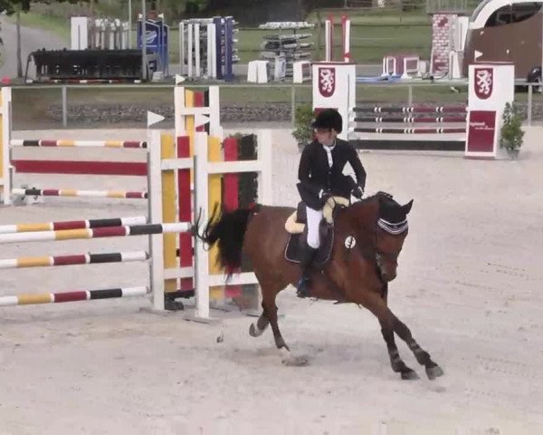 Reitturnier Ingolstadt-Hagau 2015