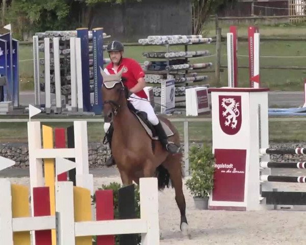Reitturnier Ingolstadt-Hagau 2015