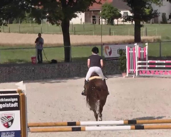 Reitturnier Ingolstadt-Hagau 2015