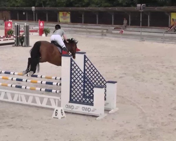 Reitturnier Ingolstadt-Hagau 2015
