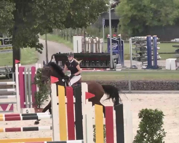 Reitturnier Ingolstadt-Hagau 2015