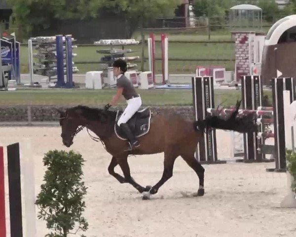 Reitturnier Ingolstadt-Hagau 2015