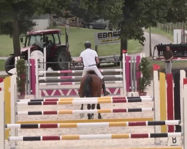 Reitturnier Ingolstadt-Hagau 2015