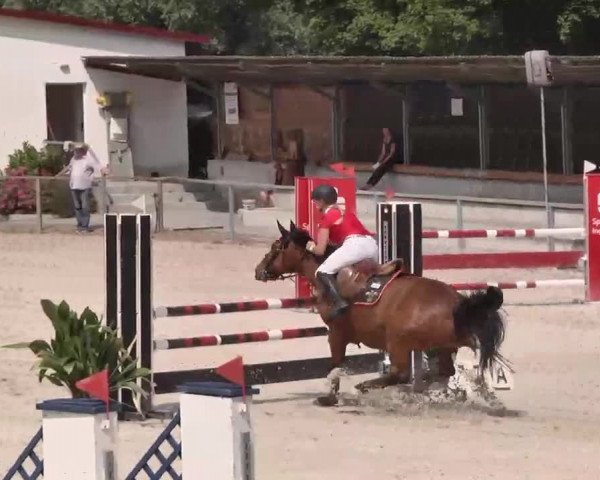 Reitturnier Ingolstadt-Hagau 2015