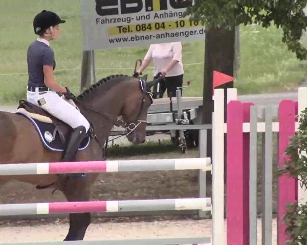 Reitturnier Ingolstadt-Hagau 2015