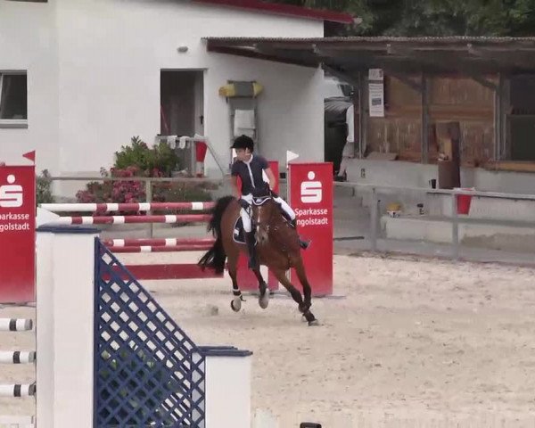 Reitturnier Ingolstadt-Hagau 2015