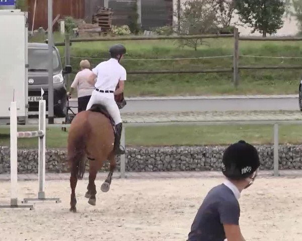 Reitturnier Ingolstadt-Hagau 2015