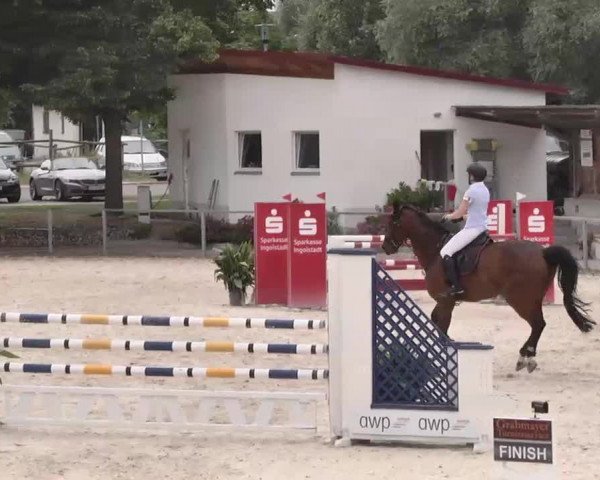 Reitturnier Ingolstadt-Hagau 2015