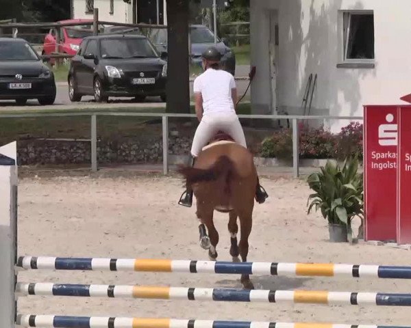 Reitturnier Ingolstadt-Hagau 2015