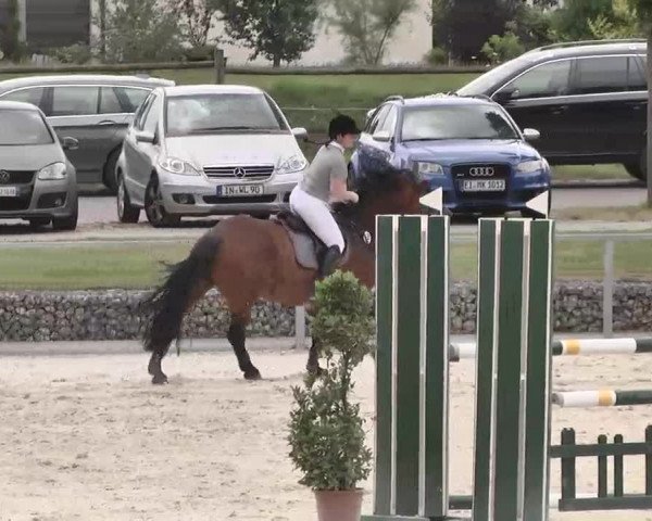 Reitturnier Ingolstadt-Hagau 2015