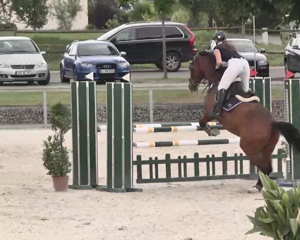Reitturnier Ingolstadt-Hagau 2015
