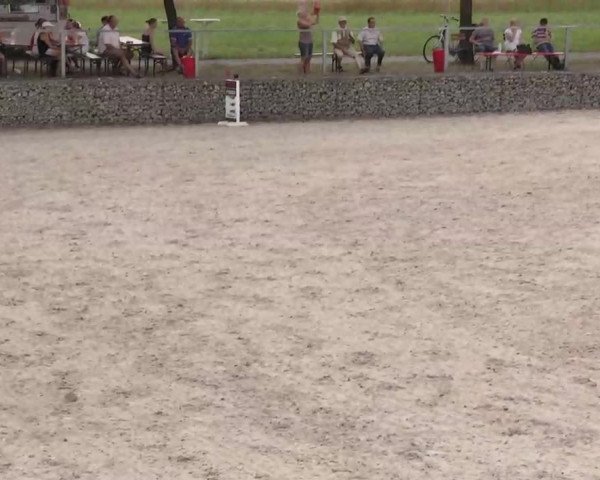 Reitturnier Ingolstadt-Hagau 2015