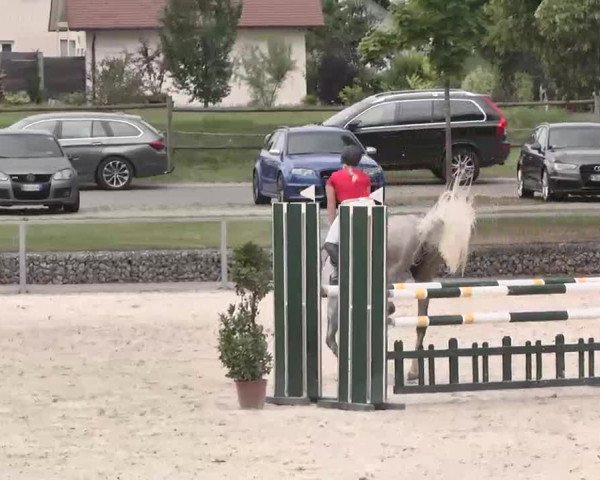 Reitturnier Ingolstadt-Hagau 2015