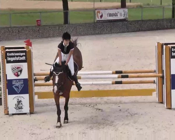 Reitturnier Ingolstadt-Hagau 2015