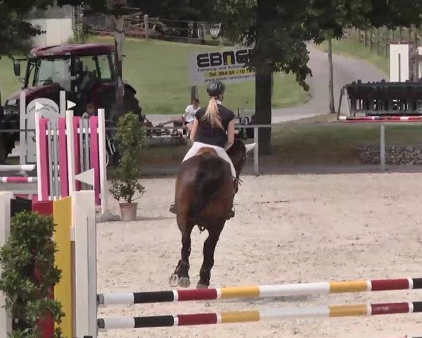 Reitturnier Ingolstadt-Hagau 2015