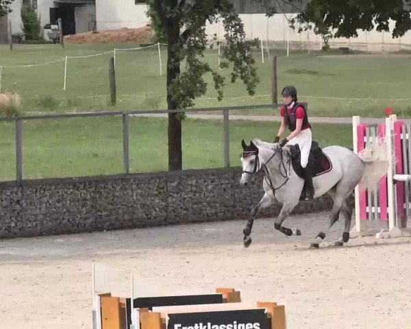 Reitturnier Ingolstadt-Hagau 2015