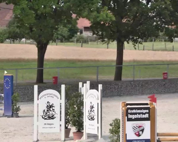 Reitturnier Ingolstadt-Hagau 2015