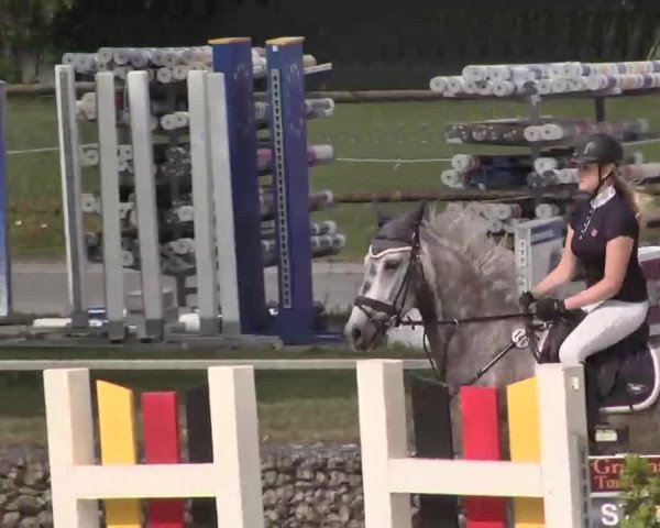 Reitturnier Ingolstadt-Hagau 2015