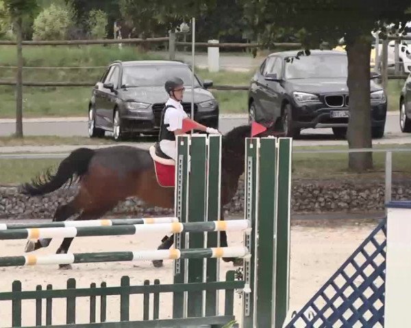 Reitturnier Ingolstadt-Hagau 2015
