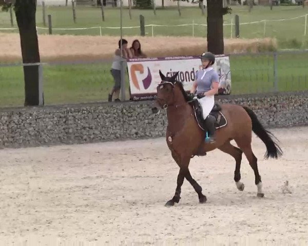 Reitturnier Ingolstadt-Hagau 2015