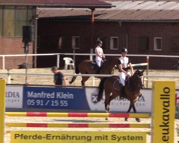 Euregioturnier Wietmarschen 2015