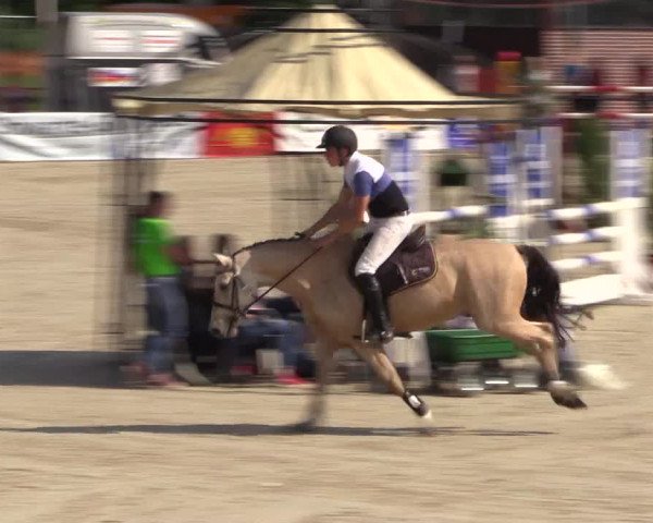 Euregioturnier Wietmarschen 2015