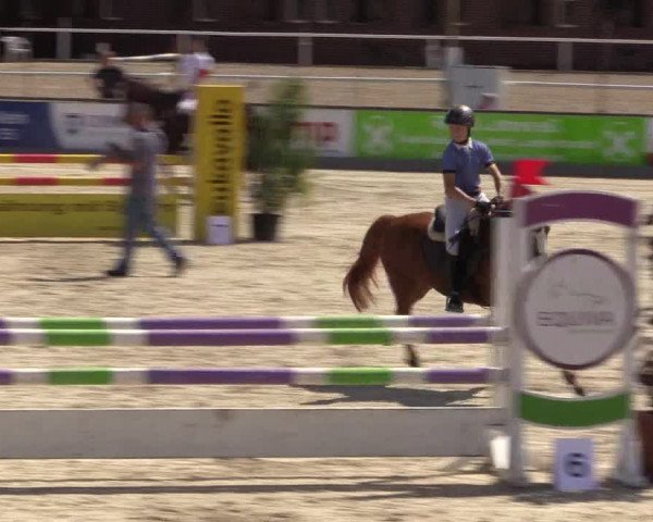 Euregioturnier Wietmarschen 2015