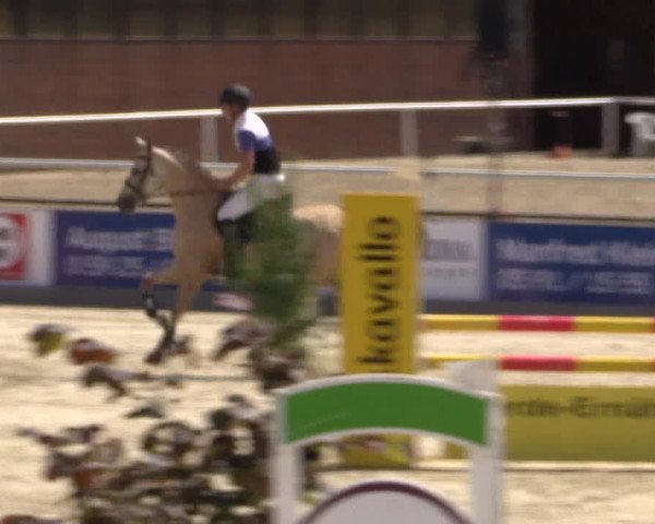 Euregioturnier Wietmarschen 2015