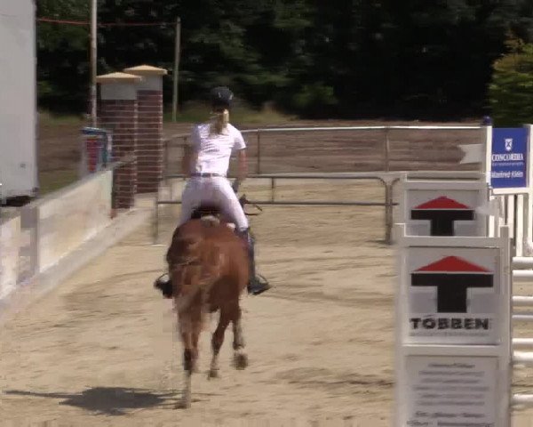 Euregioturnier Wietmarschen 2015