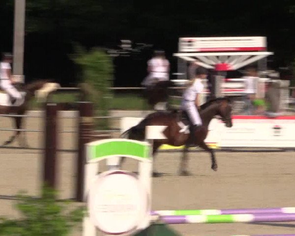 Euregioturnier Wietmarschen 2015