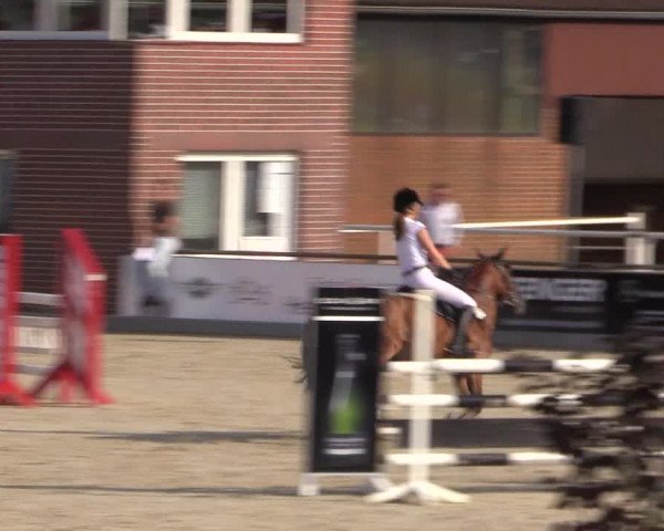 Euregioturnier Wietmarschen 2015