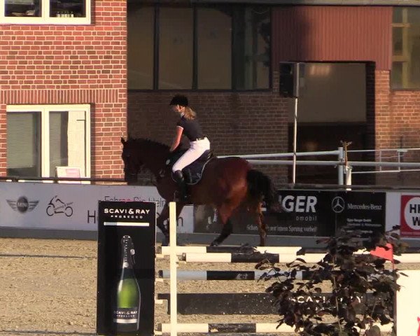 Euregioturnier Wietmarschen 2015