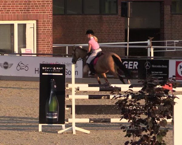 Euregioturnier Wietmarschen 2015