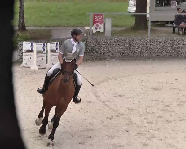Reitturnier Ingolstadt-Hagau 2015