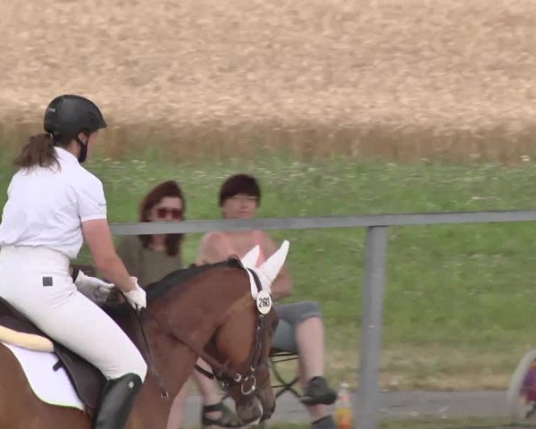 Reitturnier Ingolstadt-Hagau 2015