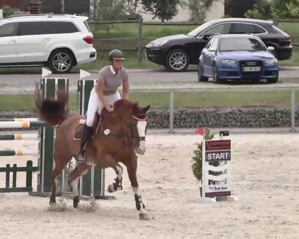 Reitturnier Ingolstadt-Hagau 2015