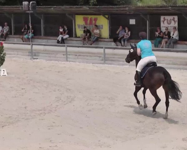 Reitturnier Ingolstadt-Hagau 2015