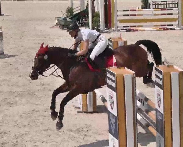Reitturnier Ingolstadt-Hagau 2015