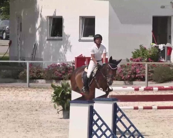 Reitturnier Ingolstadt-Hagau 2015