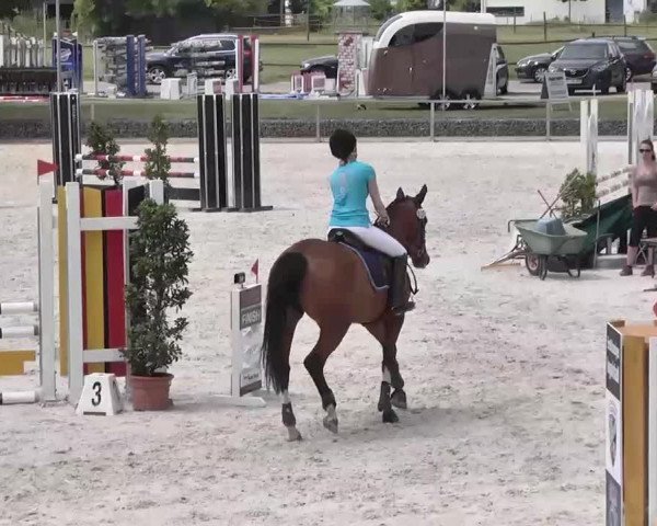 Reitturnier Ingolstadt-Hagau 2015
